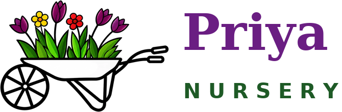 Priya Nursery